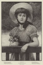 Rosenknospen
